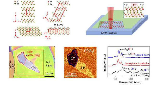 VTe2 소재의 박리 샘플의 CDW 및 대칭 격자 구조와 레이저 조사를 통한 폴리모프 제어 (상). 폴리모프 제어 후 광학적, 라만 분광학적 이미지 (하). 미발표 실험 결과.
