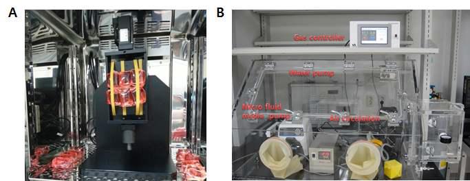 3축제어가 가능한 미세중력 시스템(A) 및 순환형 바이오리엑터(B)