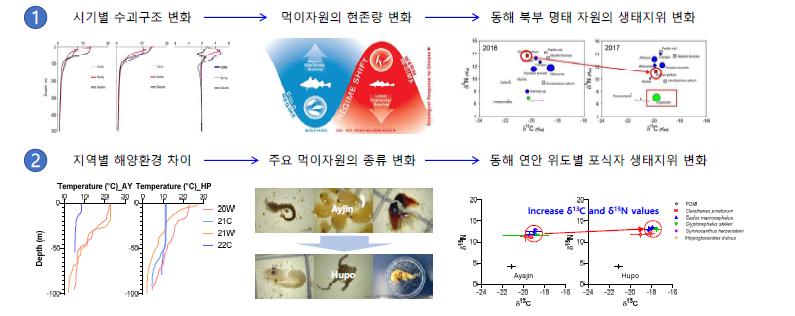 동해 연안 시기별, 서식지별 해양환경 차이에 따른 상위생태계 먹이망 구조 및 포식자 생태지위 변화