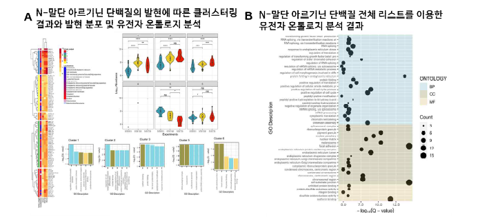 N-말단 아르기닌 수식화 단백질의 발현에 따른 클러스터링 분석 결과와 유전자 온톨로지