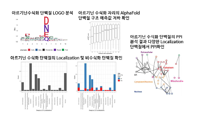 신규 N-말단 아르기닌 단백질의 특성 분석 결과