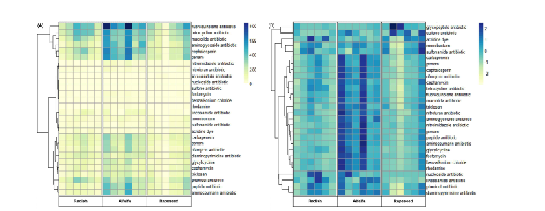 새싹채소의 항생제 내성 유전자 풍부도를 drug class에 따라 나타낸 heatmap.