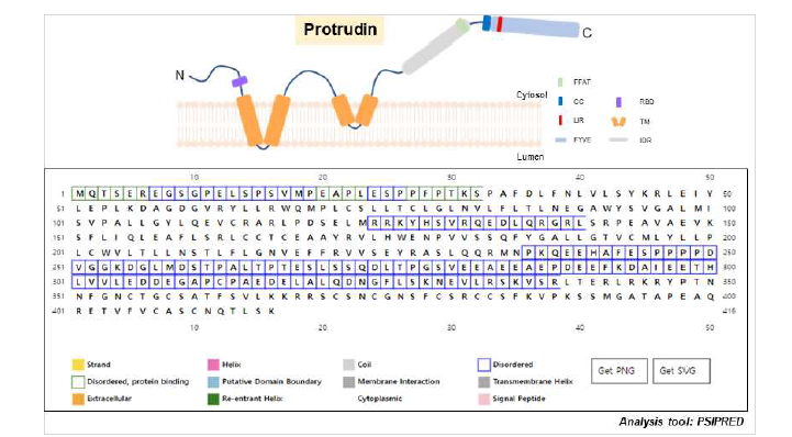 Protrudin의 IDR 분석