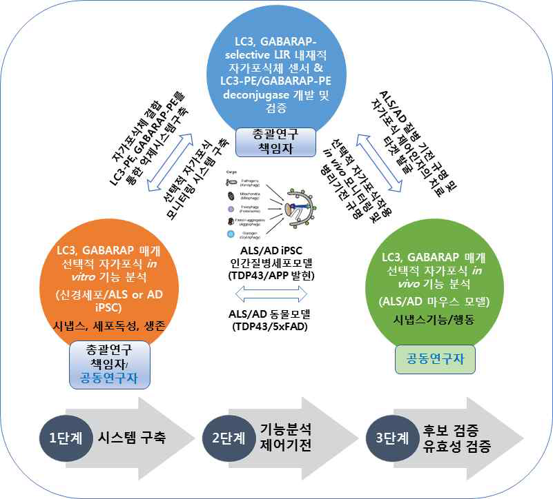 공동 연구 모식도