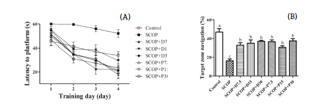 DPBEE 및 PBEE를 투여한 스코폴라민(SCOP) 유도 SD rat의 장기 공간 기억력에 미치는 영향.