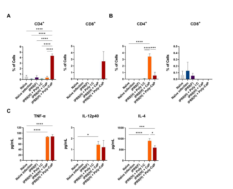 PolyI:C-CaP 어쥬번트 적용을 통한 인플루엔자 항원특이적인 세포성 면역반응 (Antigen-specific T cell proliferation and cytokine production) 증가 확인 A: T cell proliferation in Lung cells; B: T cell proliferation in Spleen cells C: Cytokine production in Spleen cells