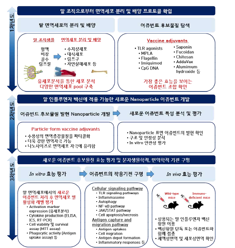 연도별 연구 수행 과정 및 내용 요약