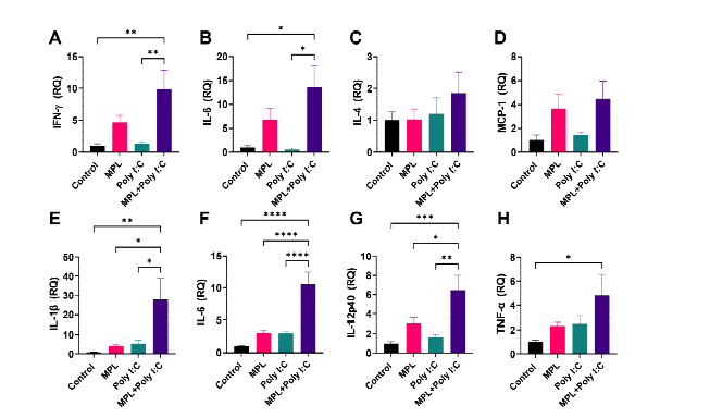 말 PBMC (A-D)와 MoDC (E-H)에서 어쥬번트 후보물질 처리 후 cytokine 발현 증가 확인