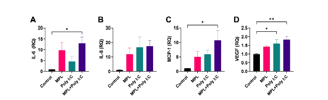 말 BM-MSC에서 어쥬번트 후보물질 처리 후 cytokine 발현 증가 확인