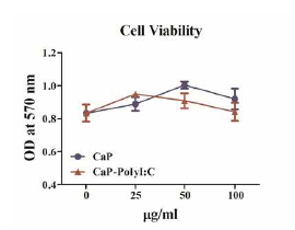 PolyI:C-CaP의 세포독성 평가