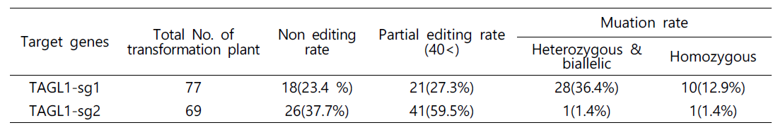 TAGL1 유전자 형질전환체의 유전자 editing 정도
