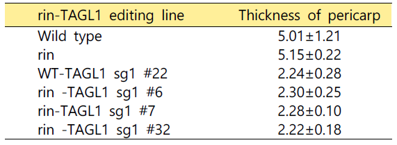 rin-TAGL1 유전자 변이체의 과피두께 그림1 . rin-TAGL1 유전자 변이체의 꽃받침 형태
