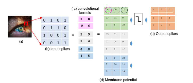 CNN의 신호 (a)이미지 (b)입력 스파이크 train (c)3개의 2×2 컨볼루션 필터 (d)컨볼루션 결과 (e)출력 스파이크
