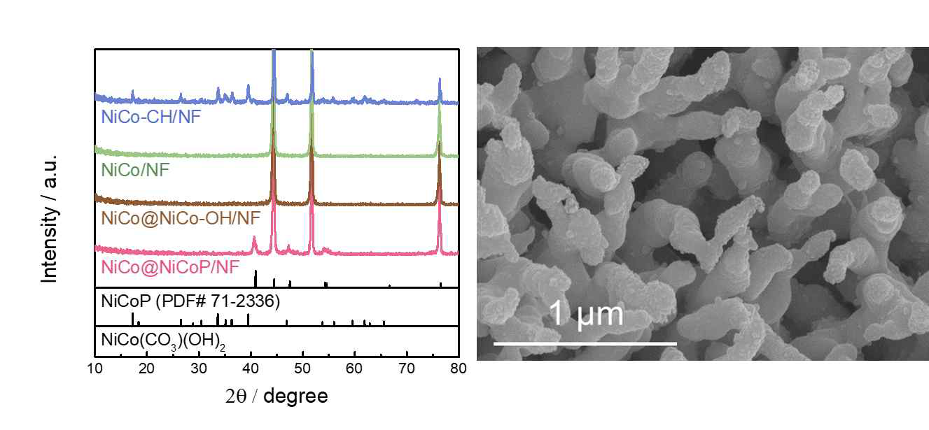 NiCo@NiCoP와 전구체의 (좌) XRD, (우) SEM 이미지
