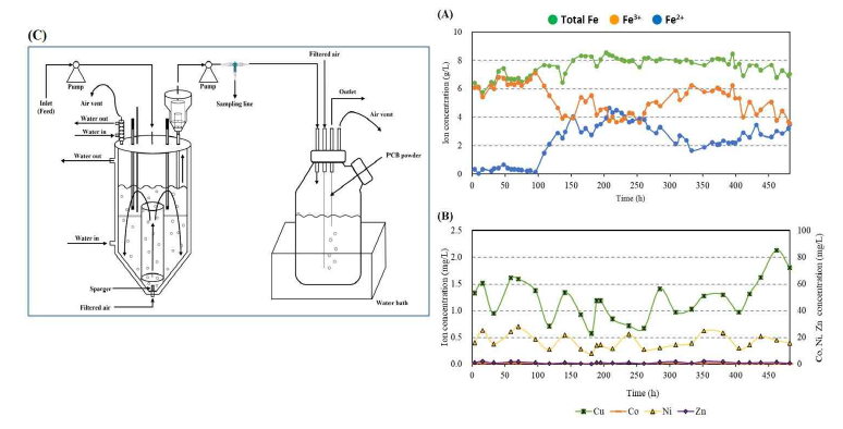 At. ferrooxidans의 고정화세포 연속 배양 연계 폐PCB의 연속적인 bioleaching. (A) 철이온 농 도, (B) 금속이온 농도, (C) 공정모식도
