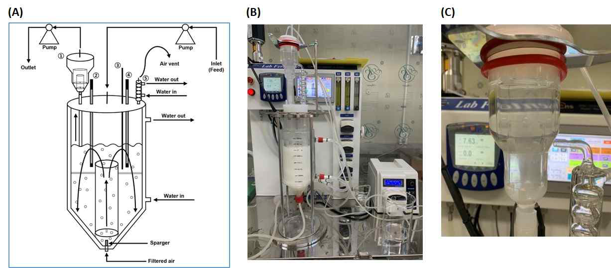 (수식)Airlift 반응기 시스템 (A)모식도, (B)시운전 및 (C)시운전 중 세포분리기. 모식도 중 번호는 다음과 같음: ◯1 Decanter ◯2 DO probe ◯3 Thermal probe ◯4 pH probe ◯5 Condenser