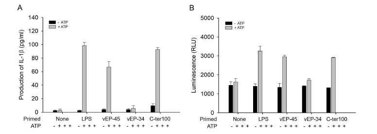 Production of IL-1β and activation of caspase-1 by vEPs and C-ter100.