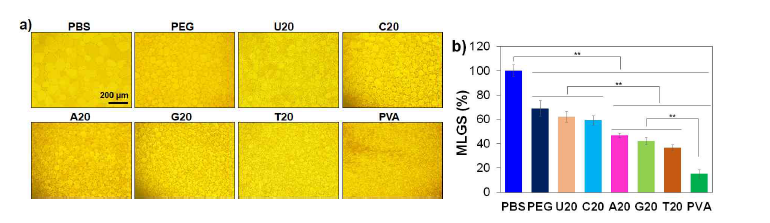 올리고핵산의 IRI효과 비교. PBS (negative control) PVA (positive control)로 사용됨.
