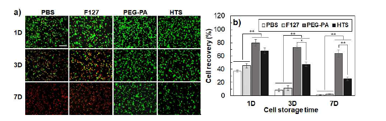 Hypothermic preservation후 세포 이미지 (a)와 회수율 (b). 녹색은 살아있는 세포, 붉은색은 죽은 세포임. HTS는 현재 상업적으로 쓰이는 것으로 프로토콜대로 4 oC 에서 보관했고, 그 외는 상온 (25 oC) 보관하였음.