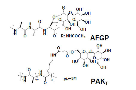 극지 물고기의 결빙방지 단백질의 (AFGP)와 본 과제에서 합성한 분자의 (PAKT)구조 비교.