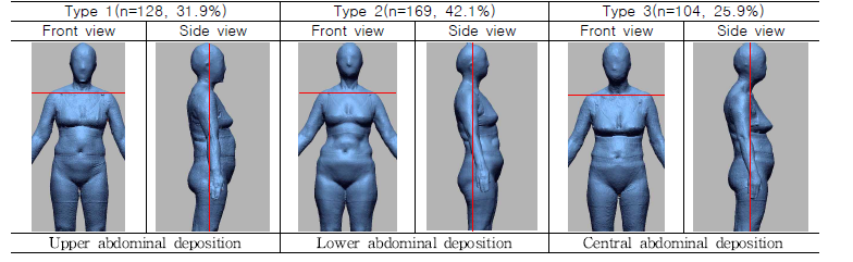 Characteristic of torso bodice types