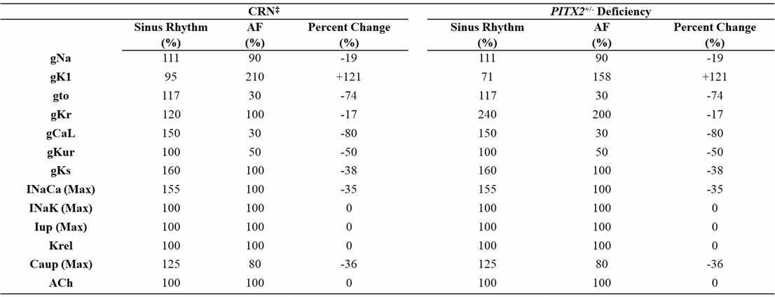 Genotype을 위한 이온 전류 설정값 (Hwang I, Pak hn, et al. Frontiers in physiology 12 (2021))1