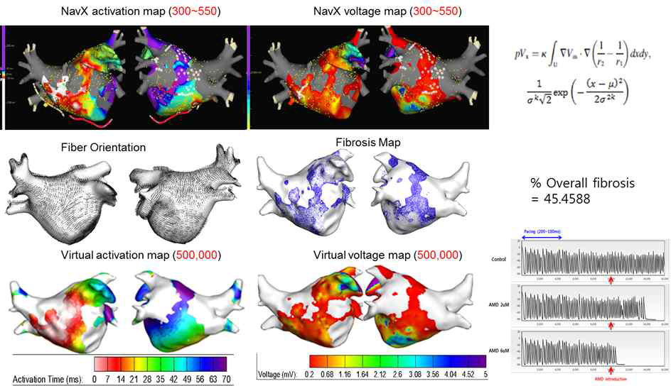 심방세동 시술시 획득한 전극도를 활용한 가상 심방세동 컴퓨터 모델링. 환자의 심장영상에 시술시 획득한 전기해부학 맵을 적용하여 환자 의 해부학, 조직학, 전기생리학적 특성을 적용한 가상 심방세동 파동역학을 분석.