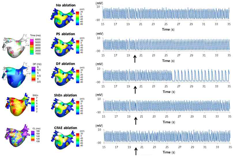 심방세동을 유발하는 파라미터에 따른 활동전위 양상의 변화 분석