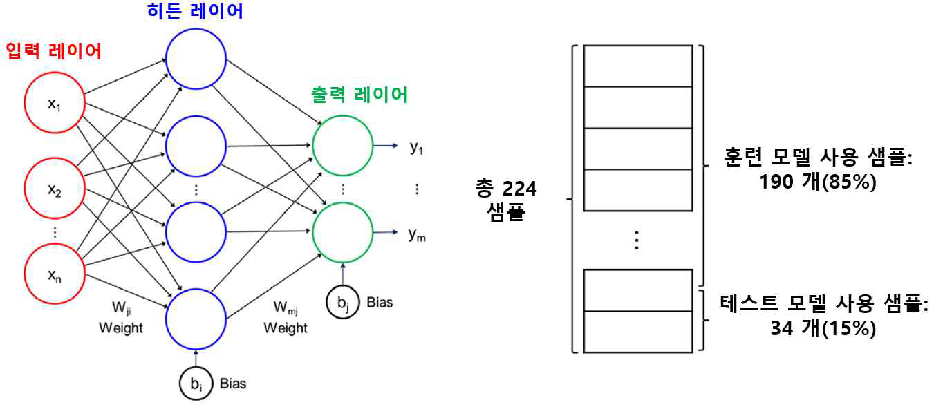 ANN 구조(좌측) 및 ANN에 입력된 데이터 비중(우측)