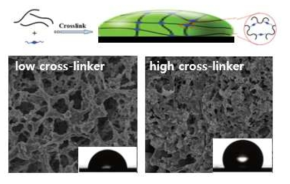 전극 표면 유기물 증착 과정 및 Cross-linker 밀도에 따른 친/소수성 제어