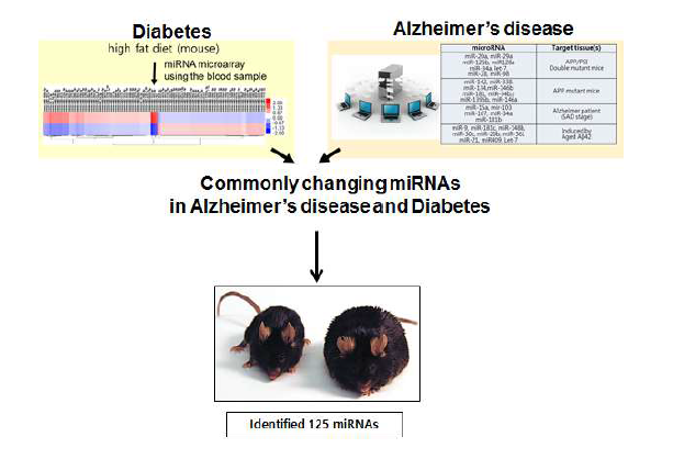 마우스에서 고지방식에 의한 제2형 당뇨병과 알츠하이머 치매의 공통 microRNA 탐