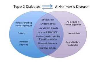 제2형 당뇨병과 치매의 공통점