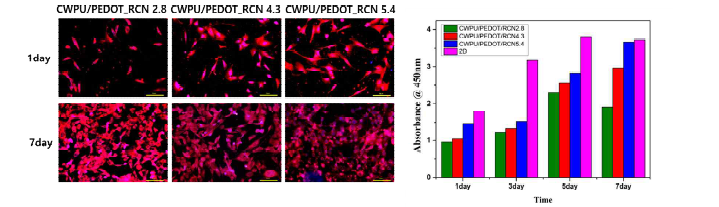 BWPU/RCN/PEDOT-PSS 복합체 필름의 생체적합성