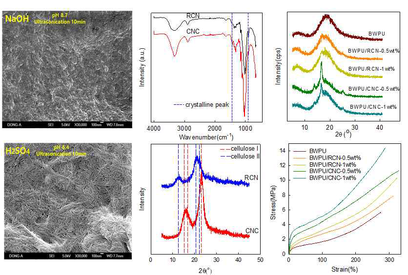 제조된나노셀룰로오스입자(NCs)와BWPU/NCs 복합체들의특성분석결과, 상단왼쪽부터NaOH법으로제조 된나노셀룰로오스입자(RCN)의SEM분석; RCN과황산법으로제조된나노셀룰로오스입자(CNC)의IR분석결과; BWPU에RCN과CNC의함량별첨가량에따른XRD분석결과, 하단왼쪽부터CNC SEM분석; RCN과CNC의 XRD분석결과; BWPU에RCN과CNC의함량별첨가량에따른인장특성분석결과