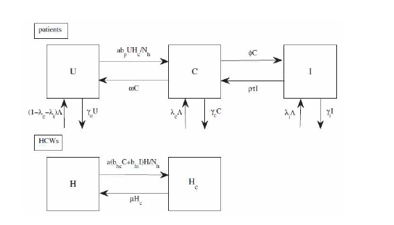 Diagram of basic KPC infection model