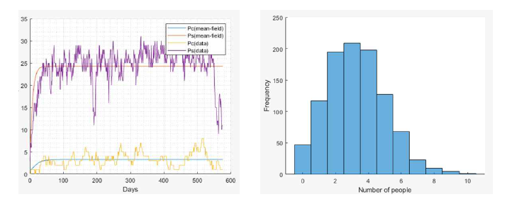 Prediction provided by deterministic and stochastic models