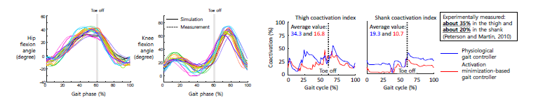 고관절 및 슬관절의 굽힘-신전 측정값(점선)과 보행 제어기 시뮬레이션값(실선)(왼쪽), 동시 활성화 보행 제어기와 기존 에너지 최소화 기반 보행 제어기의 근육 동시활성화 수치(오른쪽)