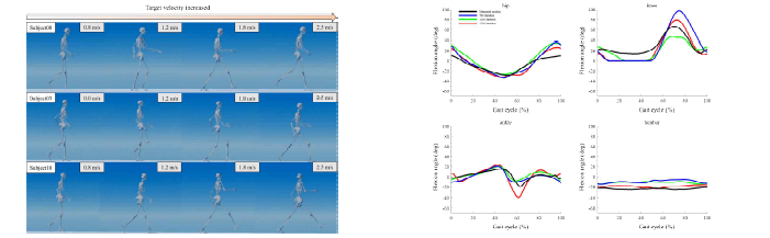 다양한 목표 속도의 보행 동작 생성(왼쪽), 목표 보행 속도 1.05 m/s에서의 측정된 관절 각도와 학습 반복에 따른 예측된 관절 각도(오른쪽)
