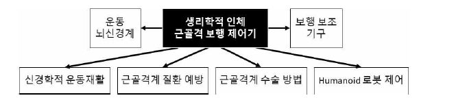 인체 근골격 보행 제어기의 적용 분야