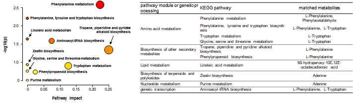KEGG pathway 분석 결과 예시