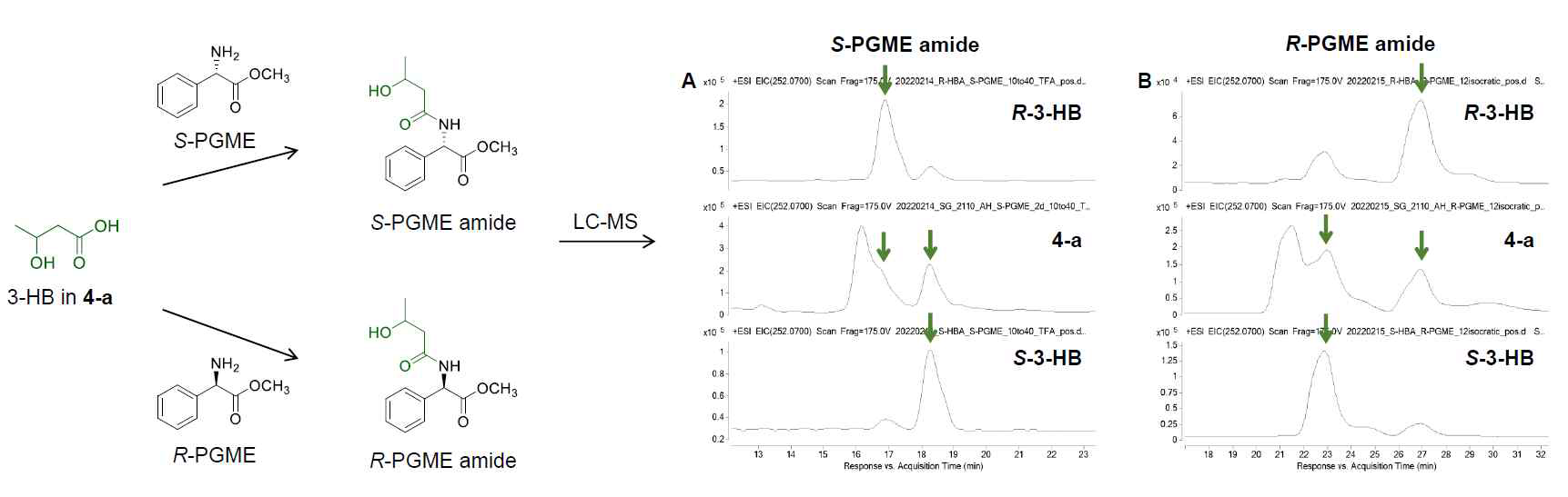 PGME 유도체를 이용한 입체구조 확인