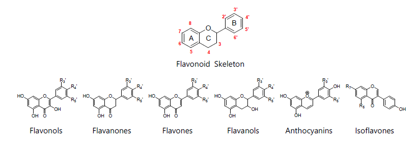 대표적인 플라보노이드 계열 화합물의 분류