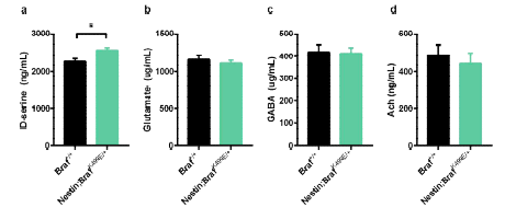 해마 부위에 서 신경전달물질의 질 량 분석 결과. a D-serine b Glutamate c GABA d ACh