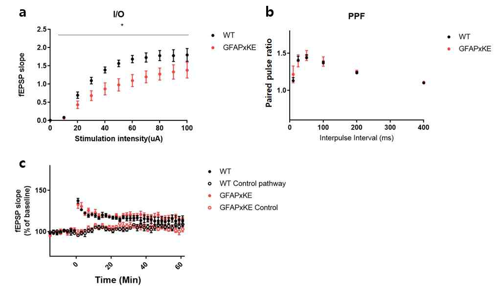 교세포 특이적 Braf K499E 발현이 시냅스 가소성 에 미치는 영향 a Basal synaptic transmission b Paired pulse facilitation c Long-term potentiation