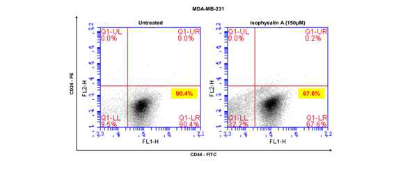 isophysalin A에 의한 유방암줄기세포 마커인 CD44+/CD24-의 분석
