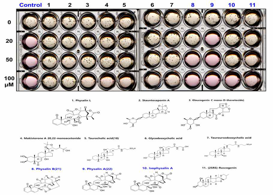 11종 식물 유래 스테로이드 화합물을 이용한 유방암 줄기세포 억제제 분석.
