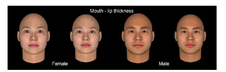 FaceGen Modeller 프로그램에서 입술 두께를 증가시킨 얼굴 모델