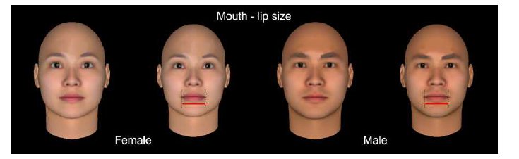 FaceGen Modeller 프로그램에서 입술 너비를 증가시킨 얼굴 모델