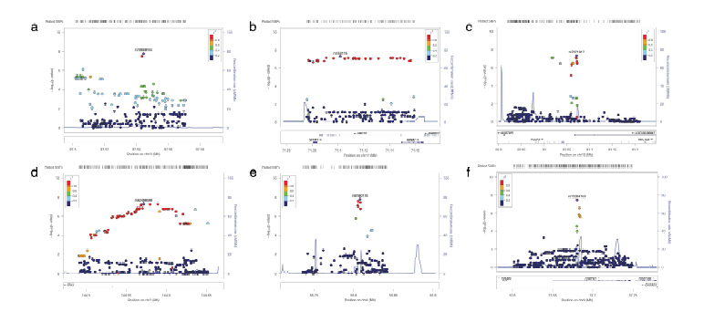 Regional association plots of six novel genetic loci satisfying genome-wide significant associations with facial traits. (Cho et al., Scientific Reports, 2023, accepted)14