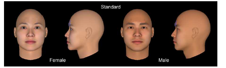 FaceGen Modeller 프로그램에서 인종은 ‘East Asian’, 성별에 따른 기본 얼굴 모델